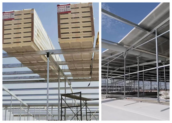 澳门六马资料大全