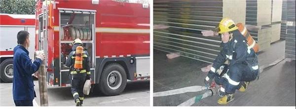 澳门六马资料大全