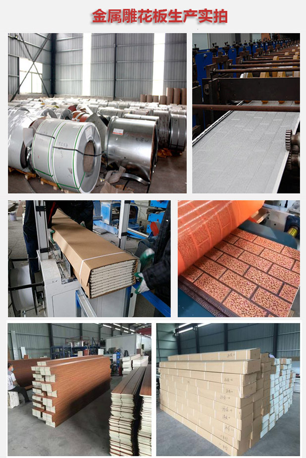 澳门六马资料大全