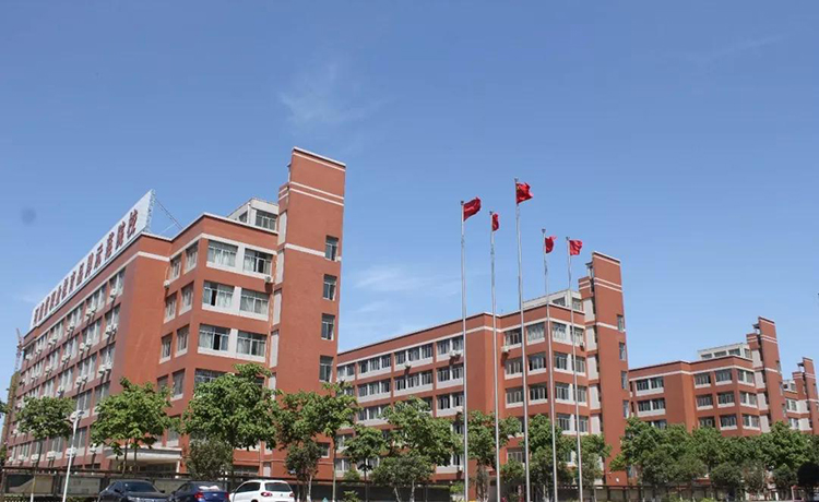 澳门六马资料大全