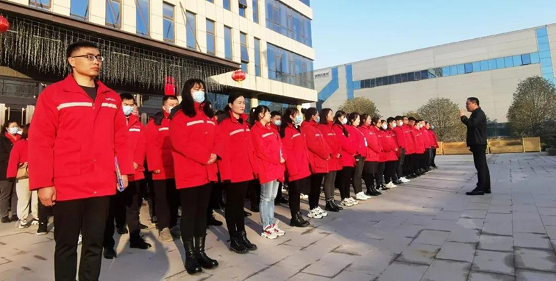 澳门六马资料大全