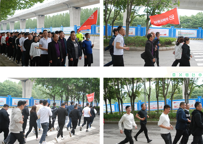 澳门六马资料大全