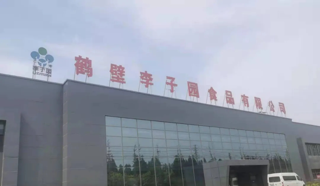 澳门六马资料大全