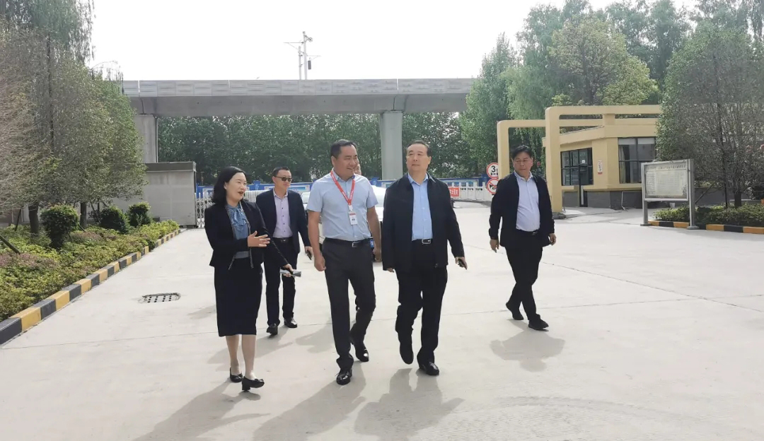 澳门六马资料大全