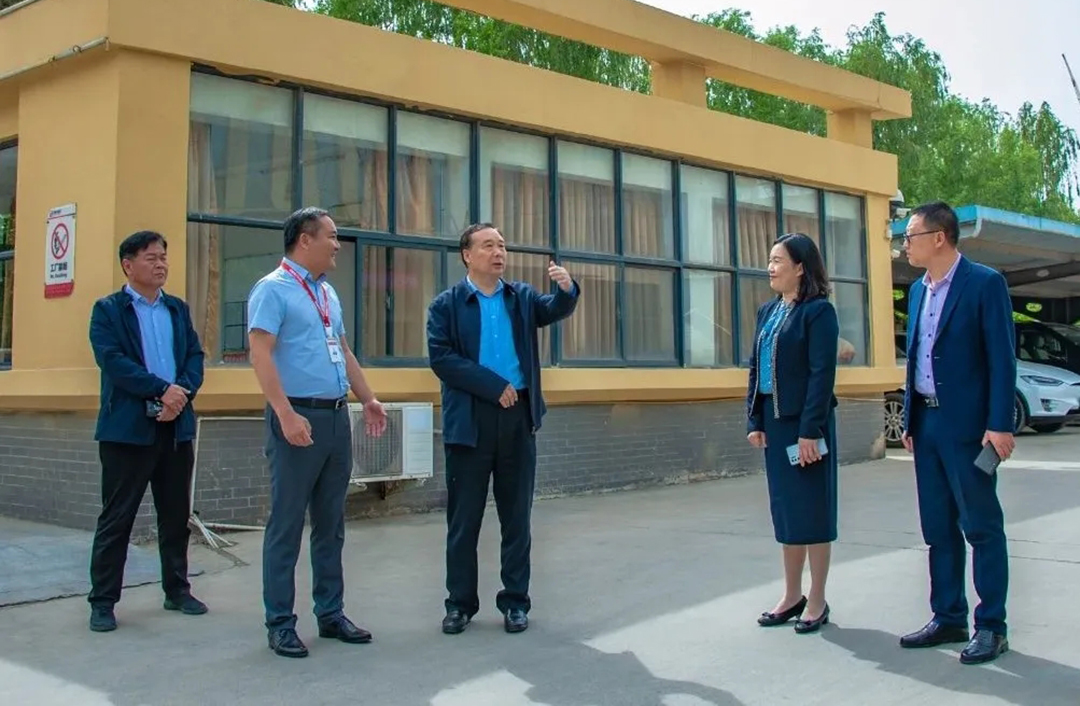 澳门六马资料大全