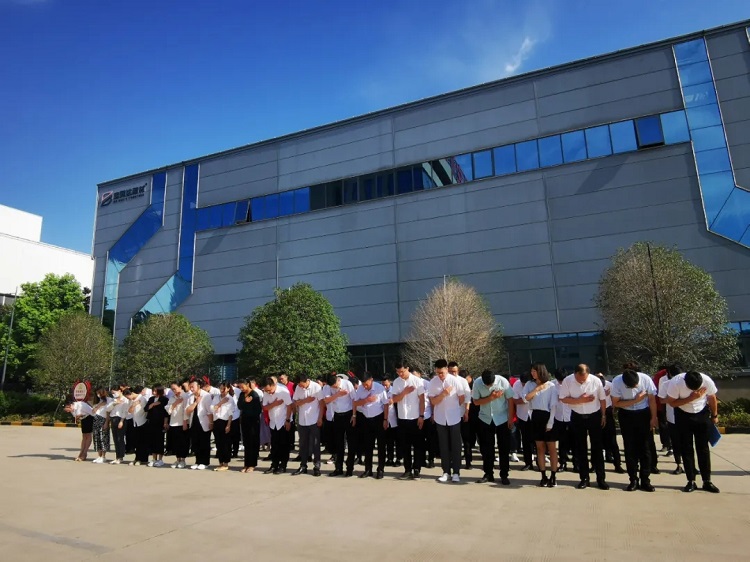 澳门六马资料大全