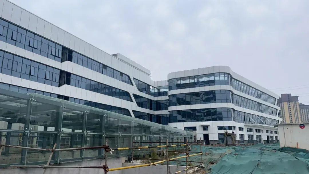 澳门六马资料大全