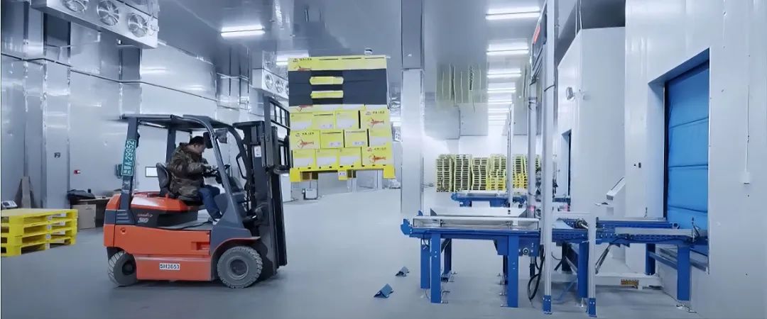 宝润达聚氨酯冷库板厂家