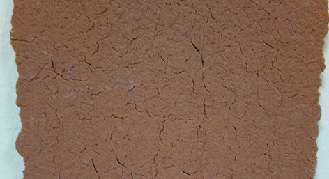 澳门六马资料大全