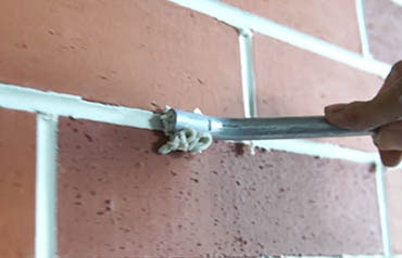 澳门六马资料大全