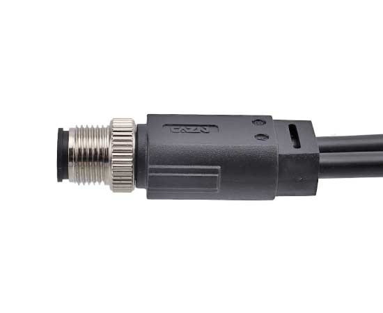 M12 一分二针型成型插头}