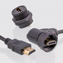 澳门六马资料大全