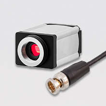 澳门六马资料大全