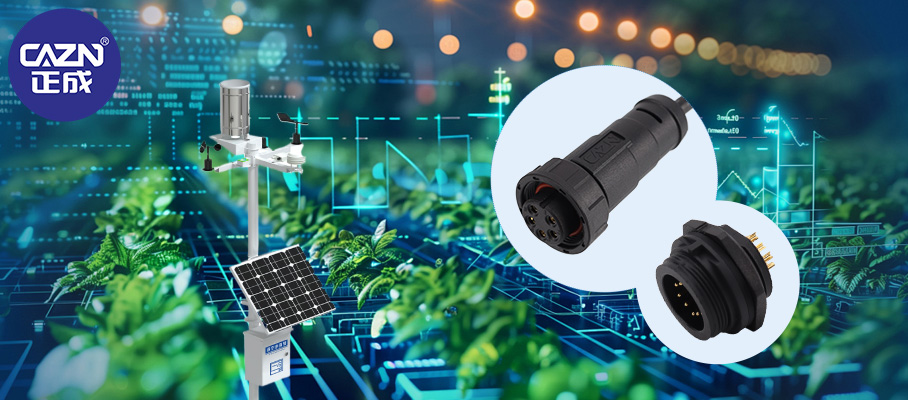 澳门六马资料大全