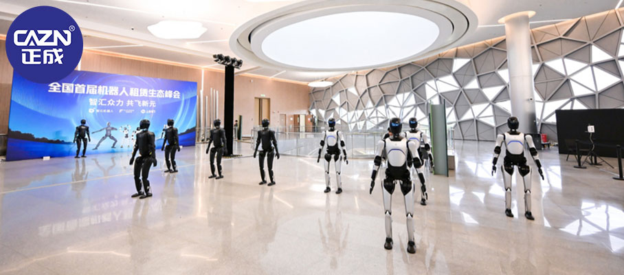 人形机器人.jpg